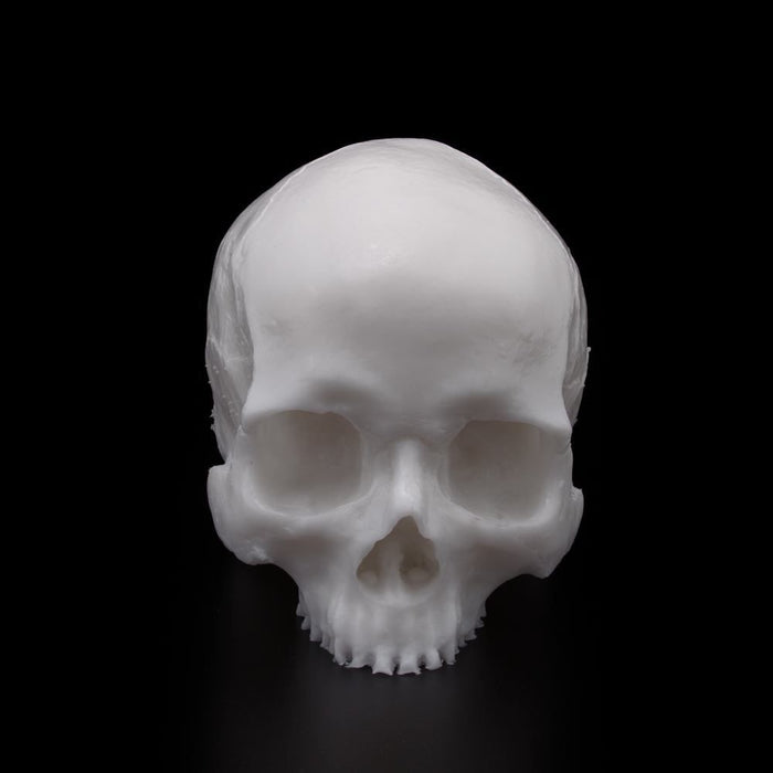 A Pound of Flesh - Tattooable Synthetic Yorick Skull