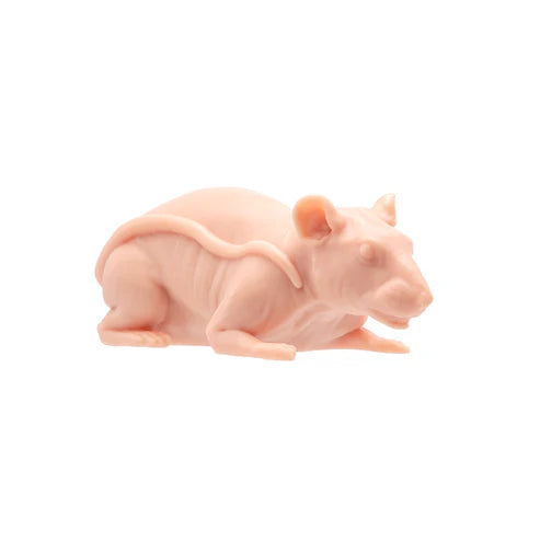 A Pound of Flesh - Naked Rat