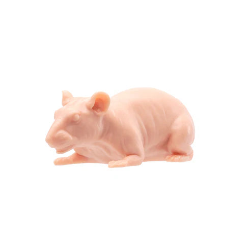 A Pound of Flesh - Naked Rat