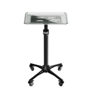 Ghost Tattoo - Standard Tray - Glitter <> Ghost Tattoo - Lite Base