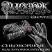 High-Quality Tattoo Gloves for Professionals | 5th Avenue Studio Supply