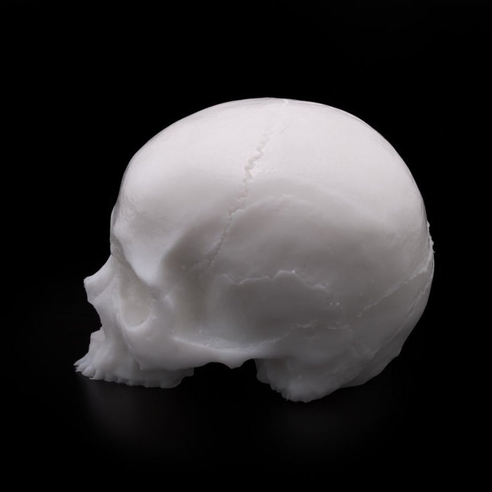 A Pound of Flesh - Tattooable Synthetic Yorick Skull