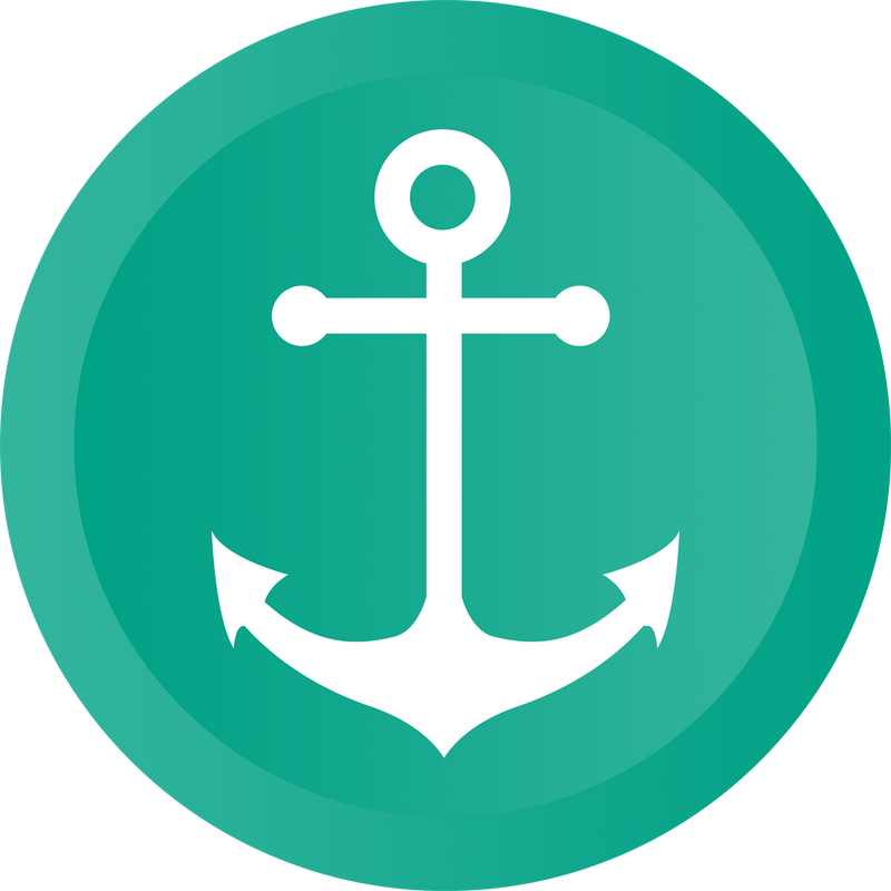 Anchor Safety Phone Sleeve