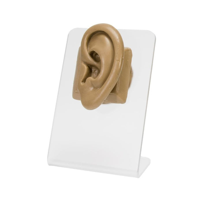 Realistic Adult-Sized Silicone Left Ear Display - Tan Body Bit Version 2