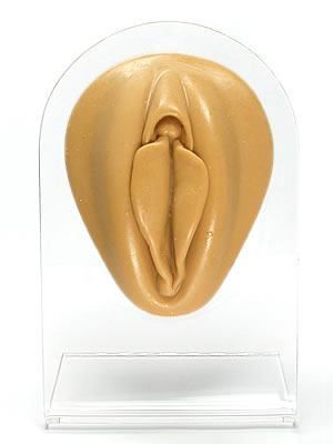 Silicone Vagina Display - Tan Body Bit Version 1 — 5th Avenue Studio Supply