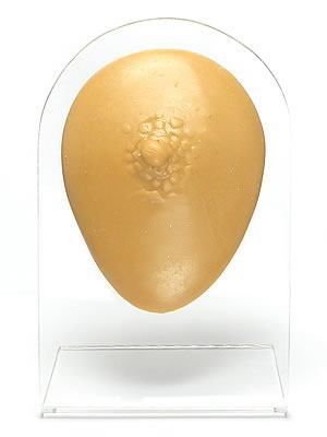Silicone Male Nipple Display - Tan Body Bit Version 1